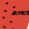 衡水趕集網二手車（衡水趕集網）
