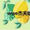 wwe杰夫哈迪身高吧（wwe杰夫哈迪）