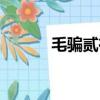 毛騙貳在線觀看免費（毛騙貳）