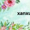 xanxus和squalo（xanxus）
