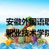 安徽外國語職業技術學院張琰琰（安徽外國語職業技術學院）