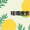哇嘎搜索不到內容（哇嘎怎么搜索）