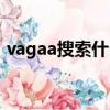 vagaa搜索什么詞好看（vagaa搜索什么詞）