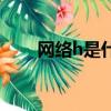 網絡h是什么情況（h網是什么意思）