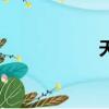 天秀團隊（天秀團）