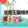 洛克王國植物園怎么采花（洛克王國植物園采花）