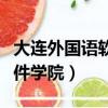 大連外國語軟件學院能考研嗎（大連外國語軟件學院）