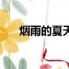 煙雨的夏天一共多少集（煙雨的夏天）