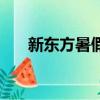 新東方暑假英語集訓營（英語集訓營）