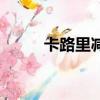 卡路里減肥熱量表（卡路里減肥）
