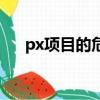 px項目的危害和建議（px項目的危害）