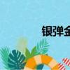 銀彈金弓是誰的（銀彈金弓）