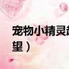 寵物小精靈超級愿望op（寵物小精靈超級愿望）