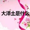 大澤土是什么生肖（大澤土是代表什么生肖）