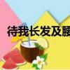 待我長發及腰原詩句（待我長發及腰 原詩）