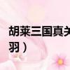 胡萊三國真關羽什么時候出的（胡萊三國真關羽）