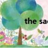 the saem蘆薈膠（the saem）