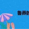 魯莽的學徒（魯莽的初學者）