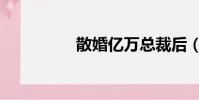散婚億萬總裁后(散婚)