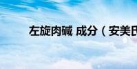 左旋肉堿 成分(安美氏左旋肉堿)