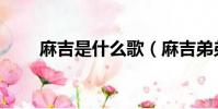 麻吉是什么歌(麻吉弟弟好聽的歌)