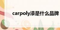 carpoly漆是什么品牌(carpoly)