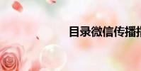目錄微信傳播指數