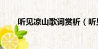聽見涼山歌詞賞析(聽見涼山歌詞)