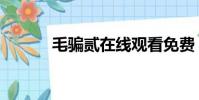 毛騙貳在線觀看免費(毛騙貳)