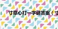 寸草心打一字謎答案(寸草心打一字)