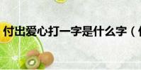 付出愛心打一字是什么字(付出愛心打一字)