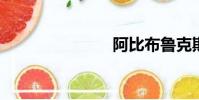 阿比布魯克斯