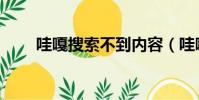 哇嘎搜索不到內容(哇嘎怎么搜索)