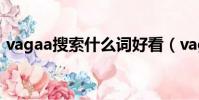 vagaa搜索什么詞好看(vagaa搜索什么詞)
