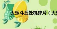 大樂斗丘處機碎片(大樂斗丘處機)