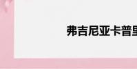 弗吉尼亞卡普里茲