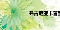 弗吉尼亞卡普里茲