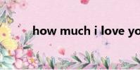 how much i love you什么意思