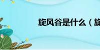 旋風谷是什么(旋風谷)