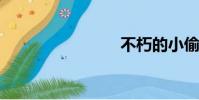 不朽的小偷