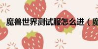 魔獸世界測試服怎么進(魔獸世界測試服)