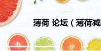 薄荷 論壇(薄荷減肥論壇)