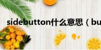 sidebutton什么意思(button什么意思)
