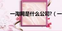 一淘網是什么公司?(一淘網是什么)