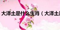 大澤土是什么生肖(大澤土是代表什么生肖)