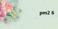 pm2 6
