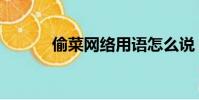偷菜網絡用語怎么說(偷菜網)