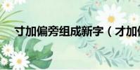 寸加偏旁組成新字(才加偏旁組成新字)