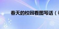春天的校園看圖寫話(春天的校園)