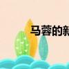 馬蓉的新浪微博（馬蓉新浪微博）